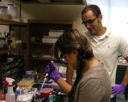 Bianca working in the lab with Ramsey